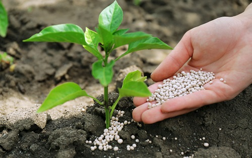 1649742886207983.png image.png