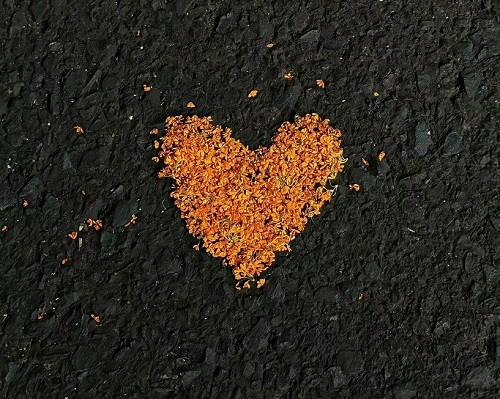 1671435828346268.png image.png