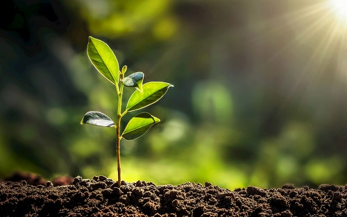 1673336832174674.png image.png