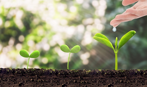 1673849294641039.png image.png