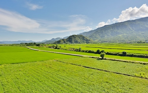 1677736099508661.png image.png