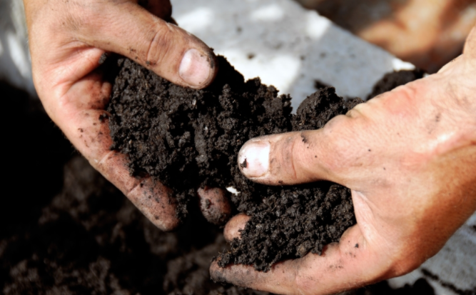 1679033475843046.png 1679033475843046.png