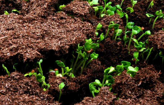 1679379021589912.png 1679379021589912.png