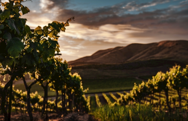 1679638962183711.png 1679638962183711.png