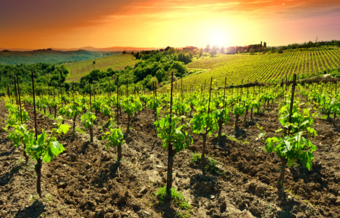 1680760891929105.png 土壤電導率測定儀的工作原理