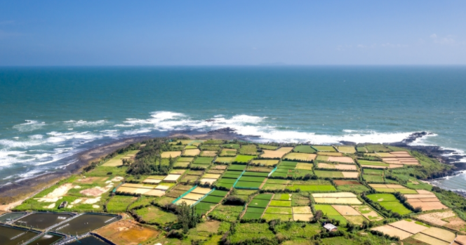 1682389449312022.png 1682389449312022.png