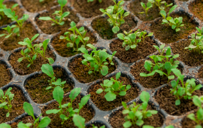 1683776165212497.png 1683776165212497.png