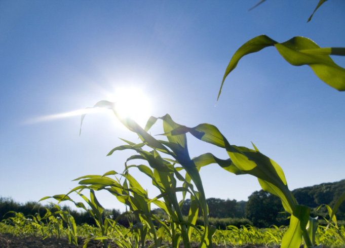 1684377743193521.png 1684377743193521.png